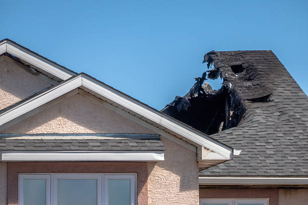 Licensed Content Restoration service in Cranbury, NJ - Fire Damage Biloxi